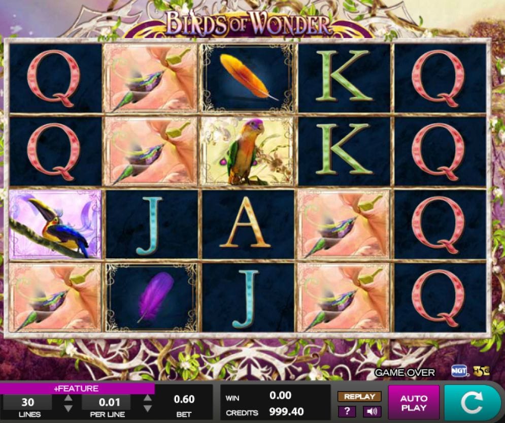 Birds of Wonder Video Slot