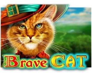 Brave Cat Geldspielautomat freispiel