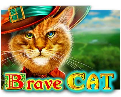 Brave Cat Geldspielautomat freispiel