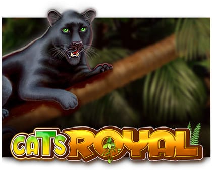 Cats Royal Automatenspiel kostenlos spielen