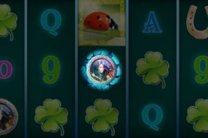 Charming Chic Video Slot freispiel