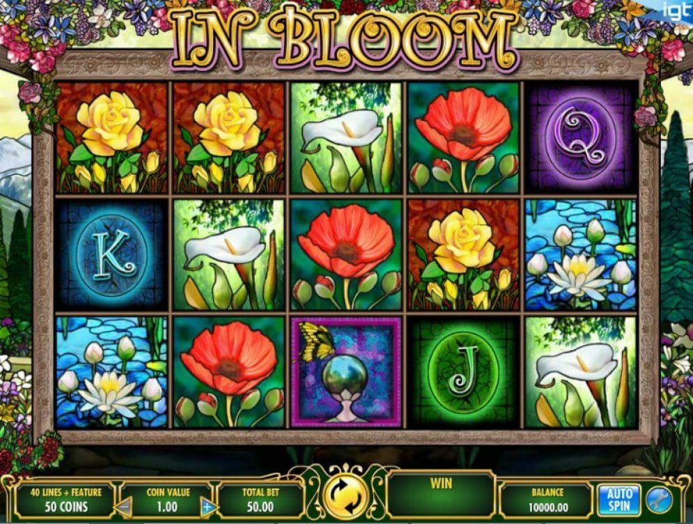 In Bloom Video Slot