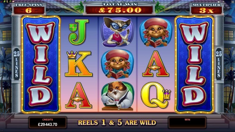 Kitty Cabana online Slotmaschine