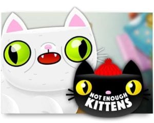 Not Enough Kittens Casino Spiel ohne Anmeldung