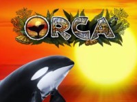 Orca Spielautomat