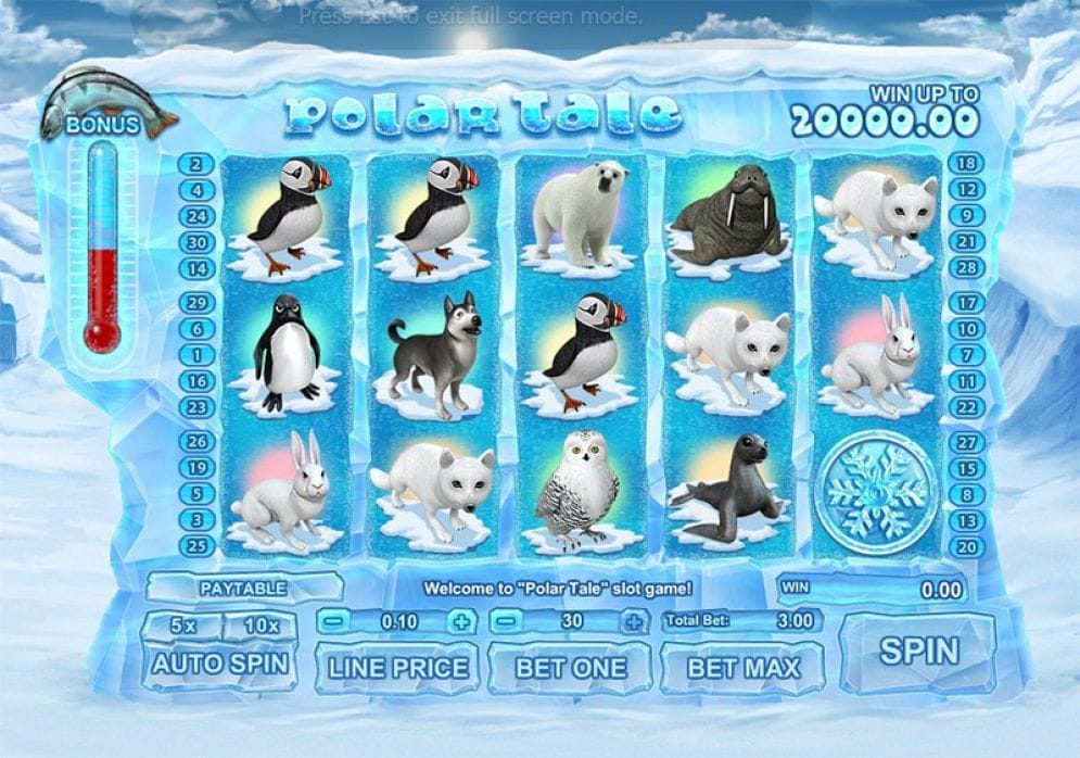 Polar Tale Polar Tale online Casino Spiel