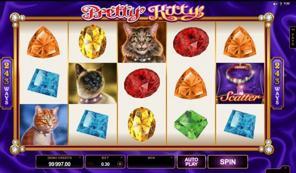 Pretty Kitty online Videoslot