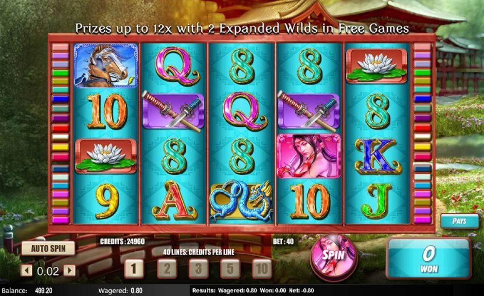 Samurai Princess Samurai Princess Video Slot