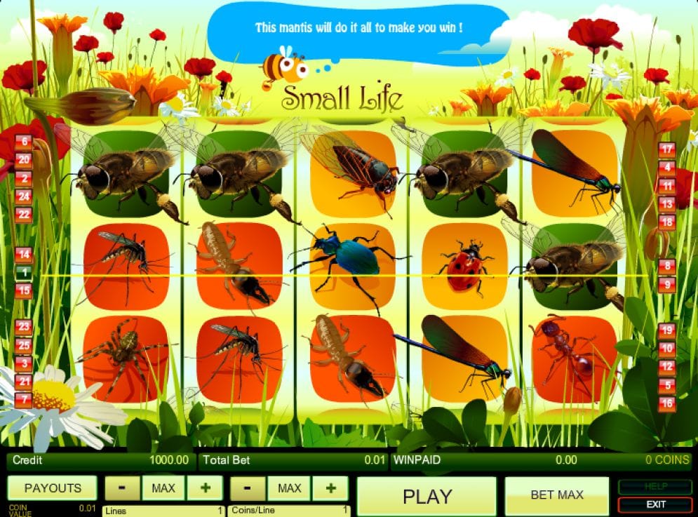 Small Life Videoslot