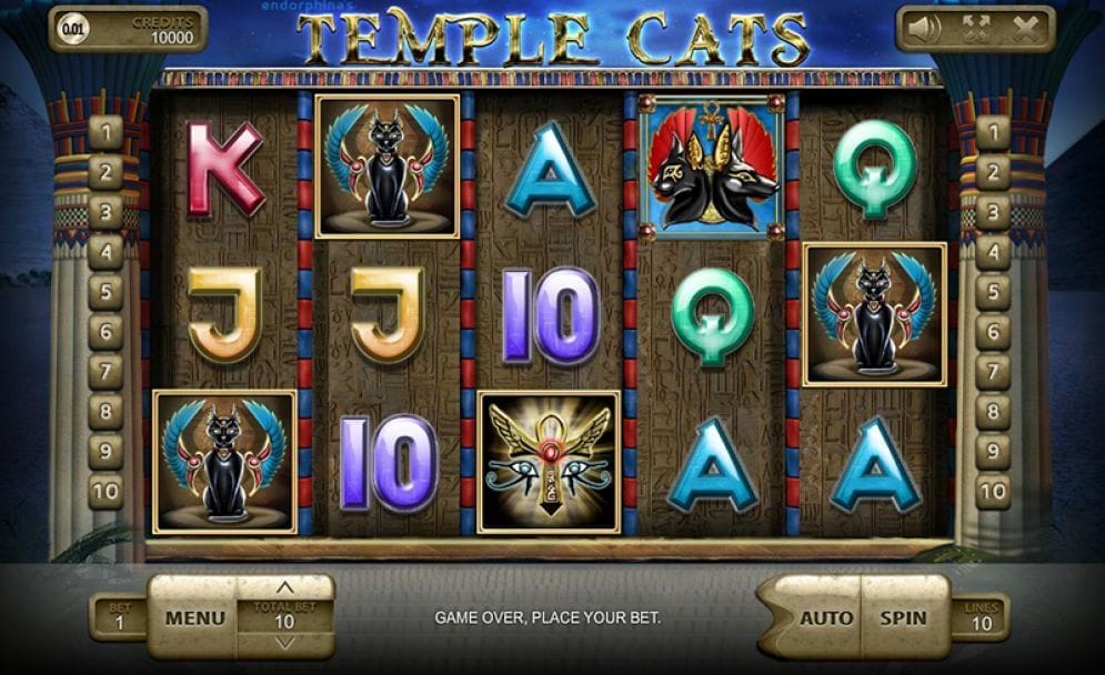 Temple Cats Slotmaschine