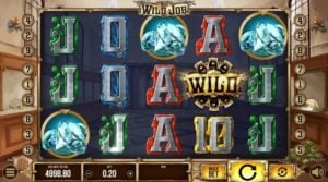 The Wild Job Videoslot freispiel