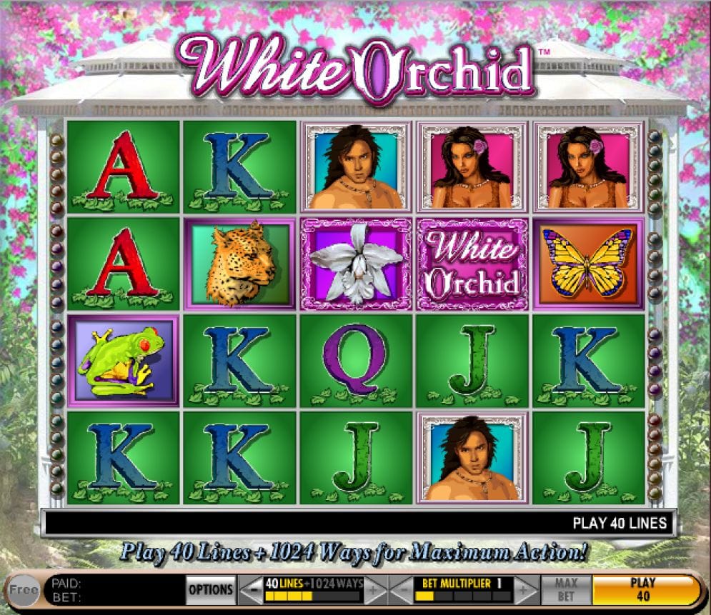 White Orchid Videoslot