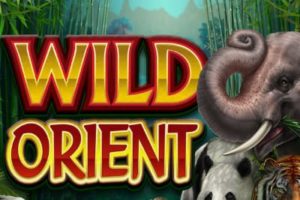 Wild Orient Automatenspiel ohne Anmeldung